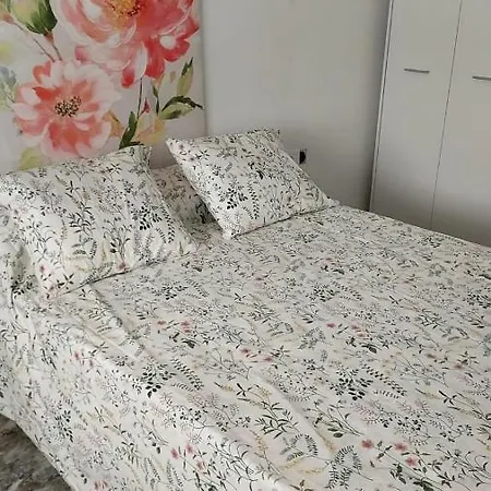 Apartment Pisabel *